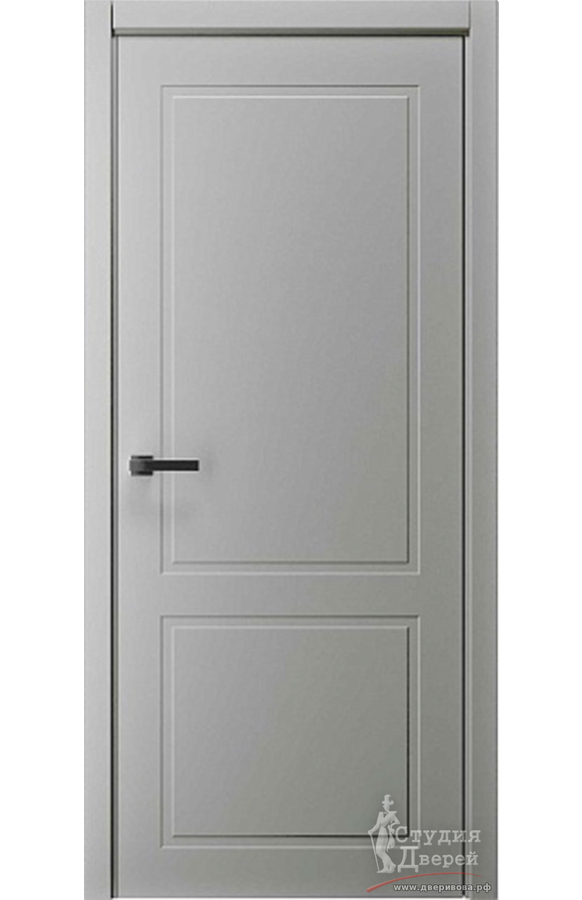 Полотно дверное ПГ СтильНео 2 Эмаль серый
